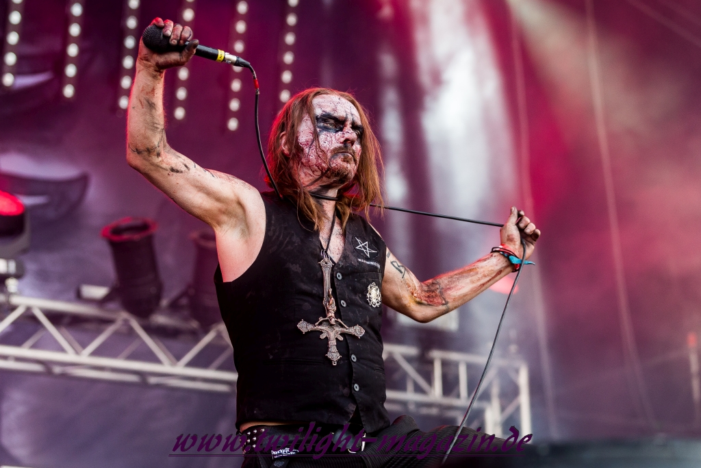 bra 417 31 carpathian forest 8192