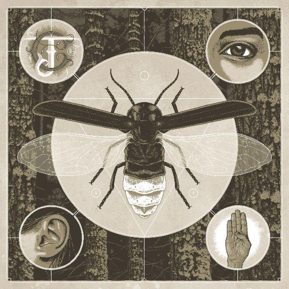 JERRY CANTRELL - Brighten