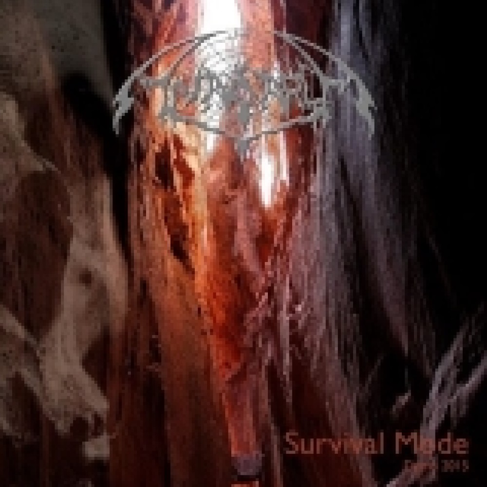 Anasarca - Survival Mode
