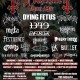 Flyer_Vl.jpg