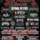 Flyer_Vll.jpg