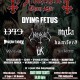 Flyer_l.jpg