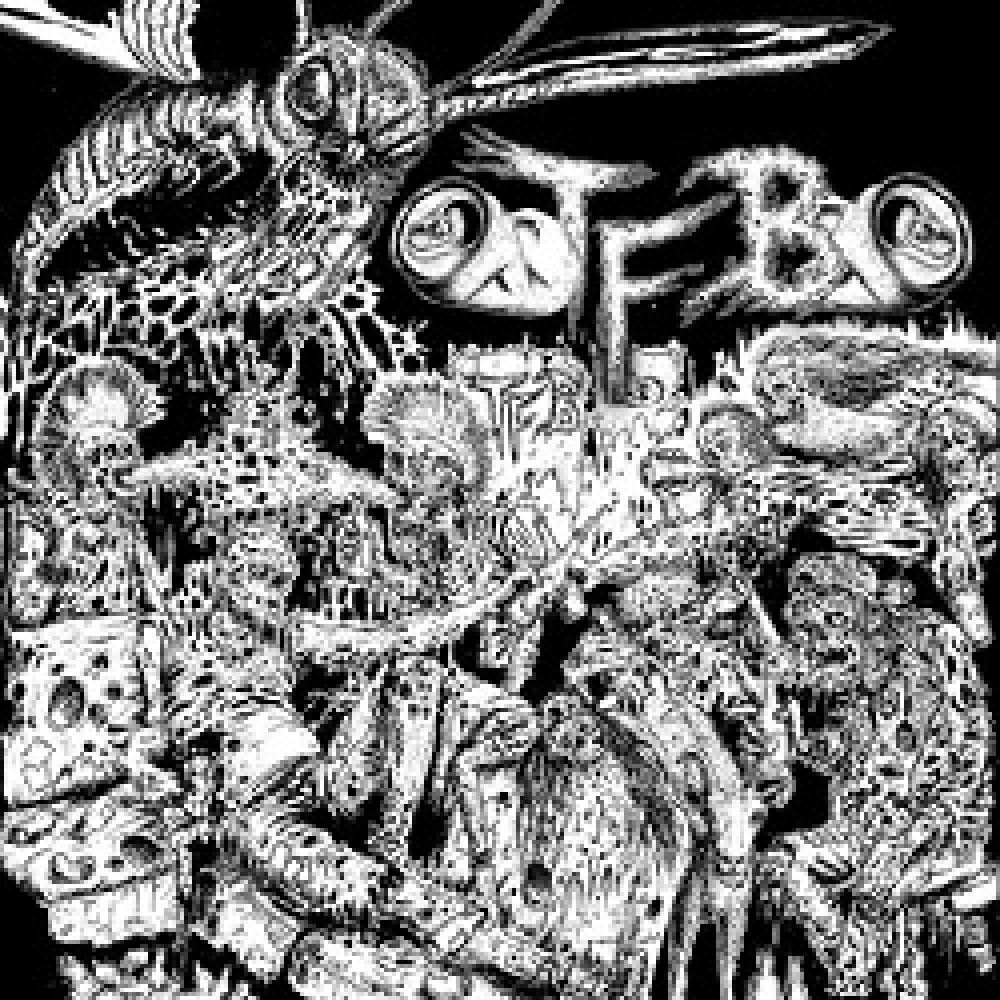 Task Force Beer - Meaning Of Life