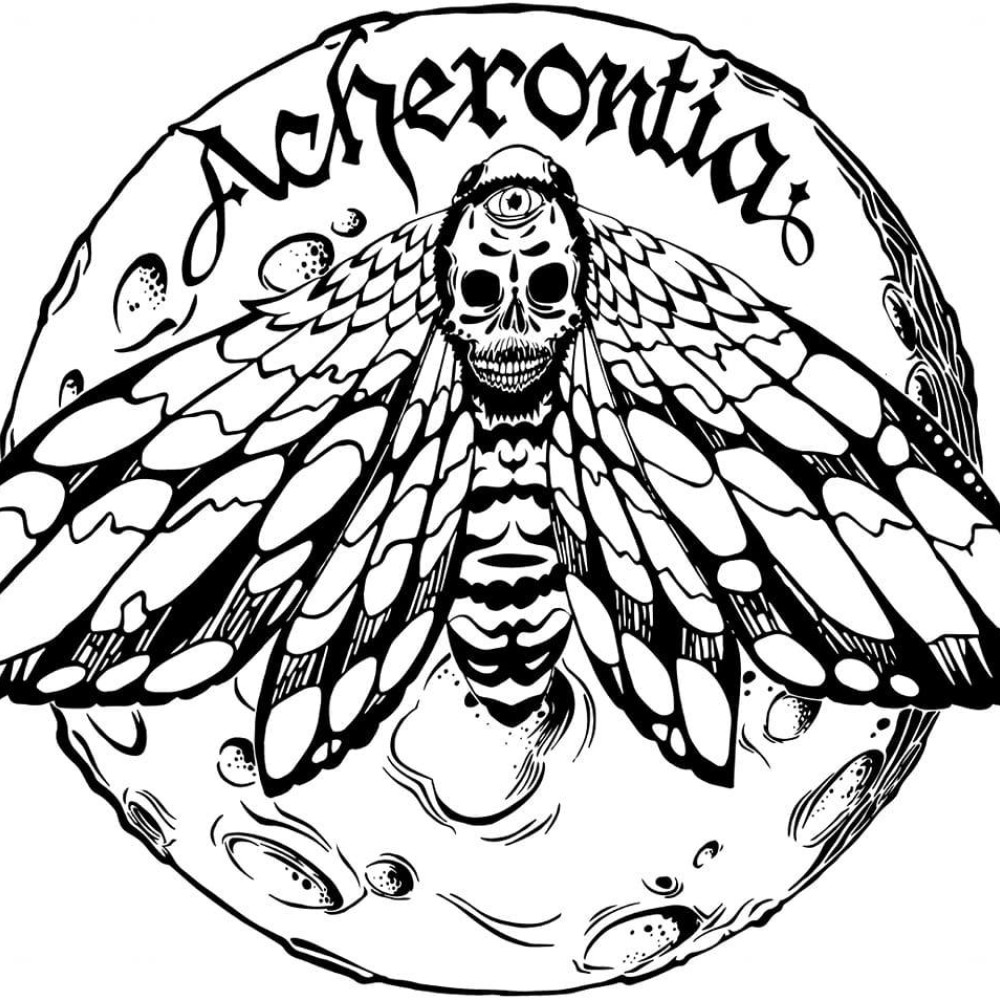Acherontia - Metamorphosis