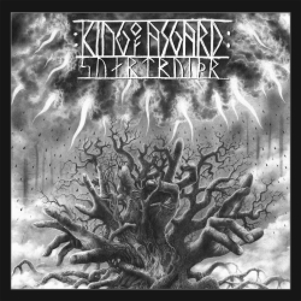 King Of Asgard - Svartrviðr 