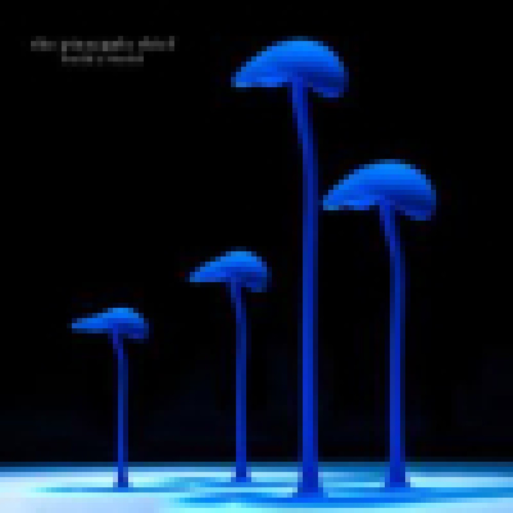 The Pineapple Thief - Build A World EP