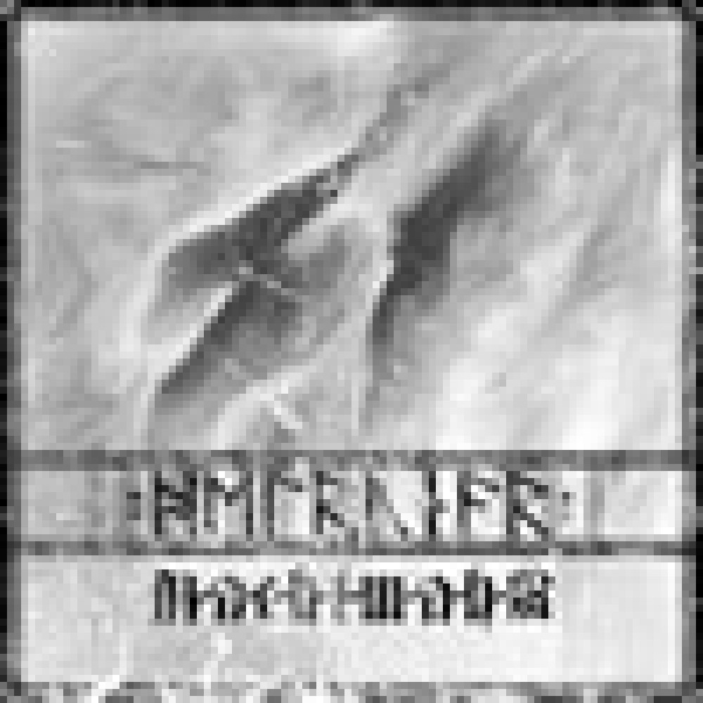 Helrunar - Nachtmahr Split