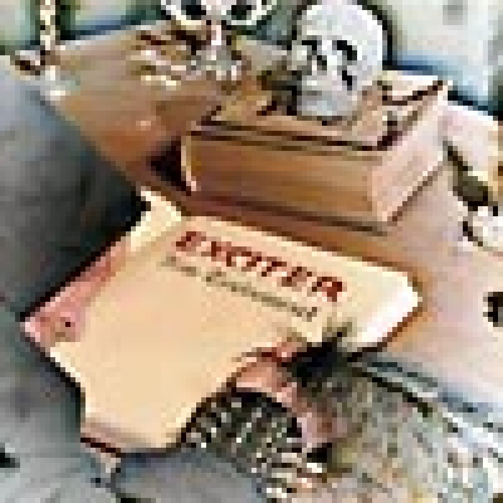 Exciter - New Testament