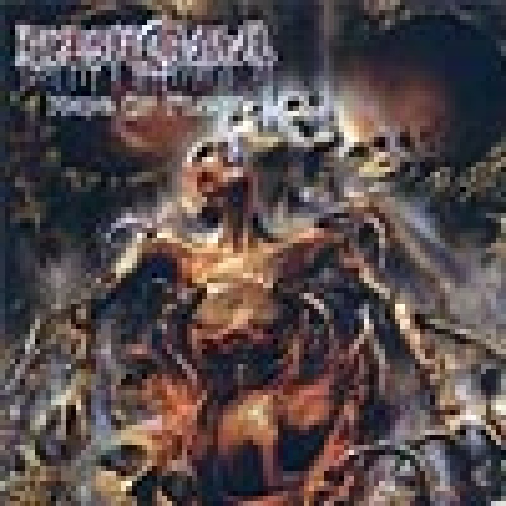 Fleshcrawl - Made Of Flesh