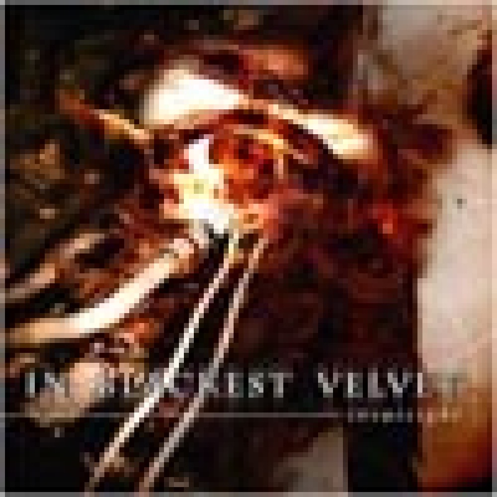 In Blackest Velvet - InSuiSight