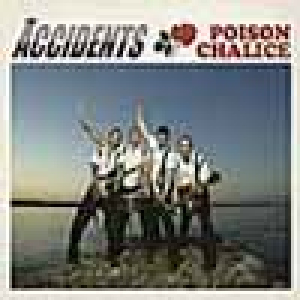 The Accidents - Poison Chalice