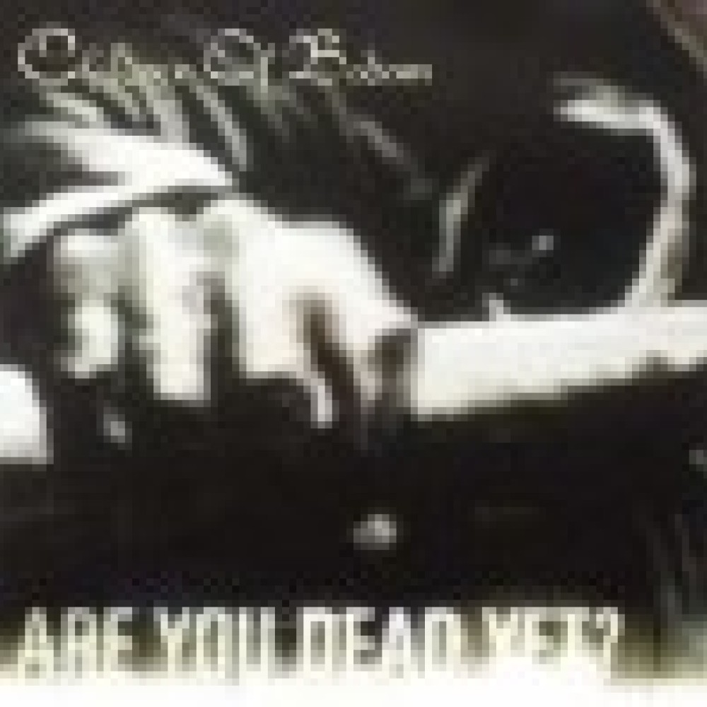 Children Of Bodom - Are You Dead Yet?