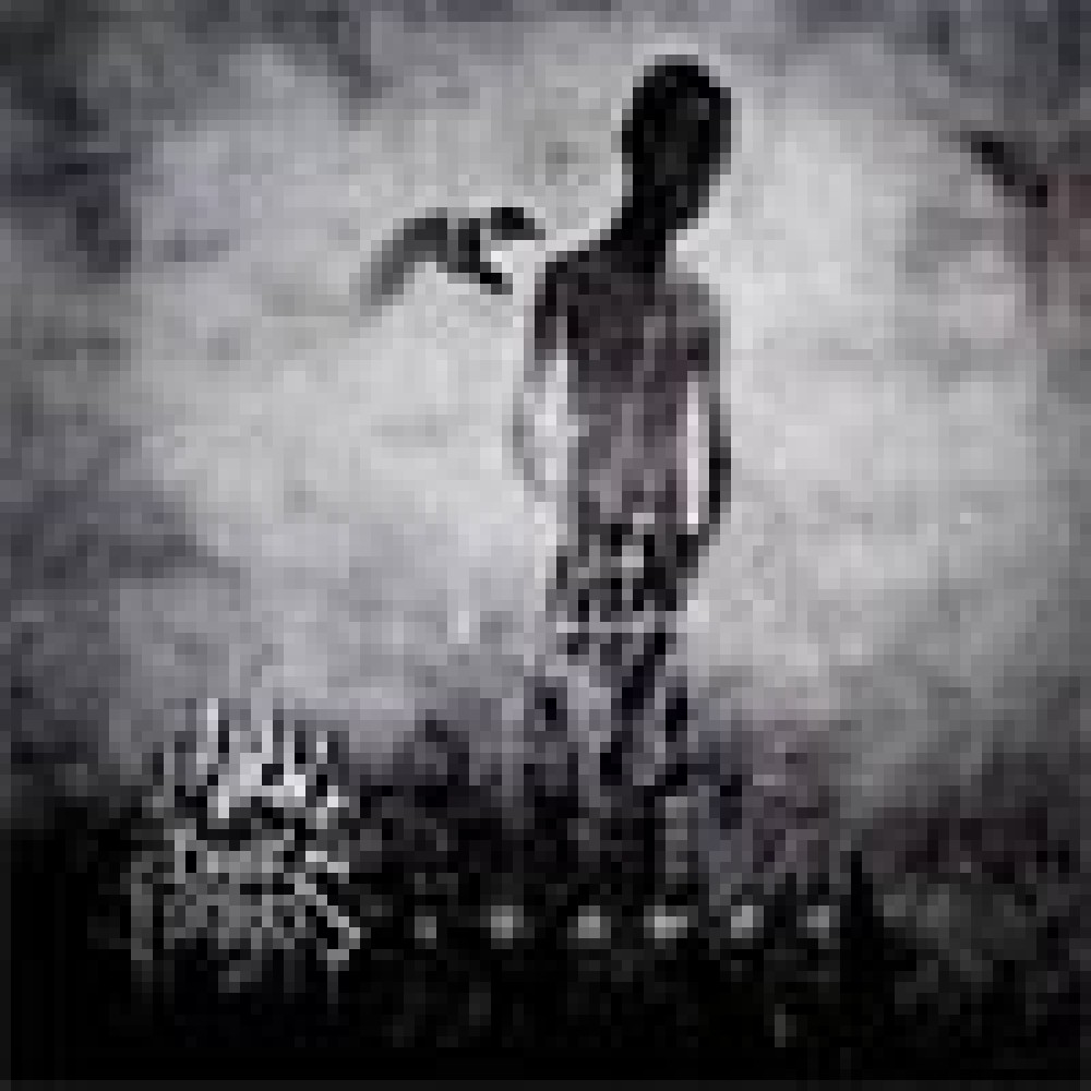 Dark Fortress - Seance