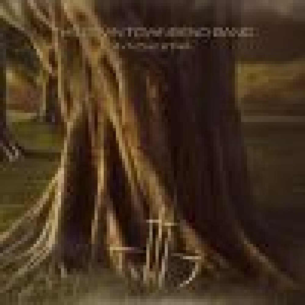 Devin Townsend - Synchestra