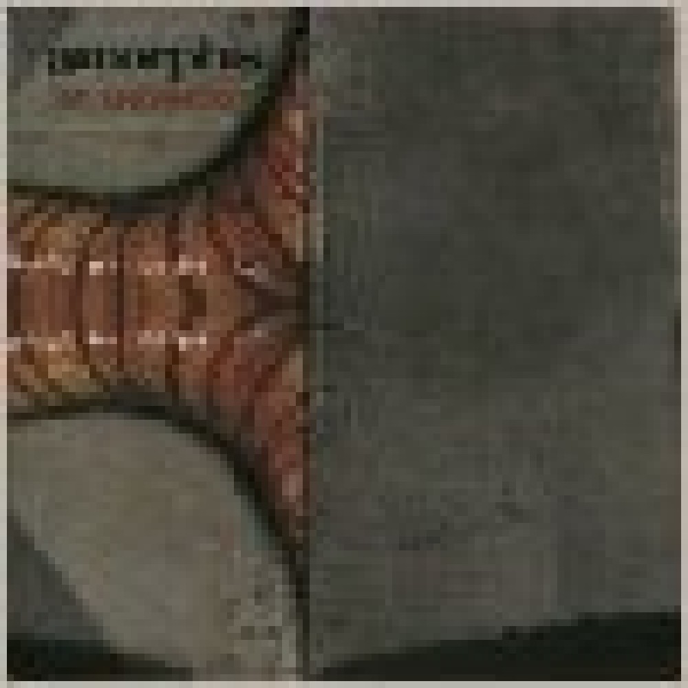 Amorphis - Am Universum