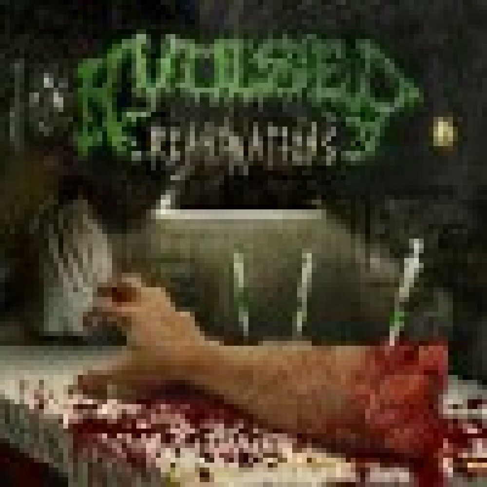 Avulsed - Reanimations