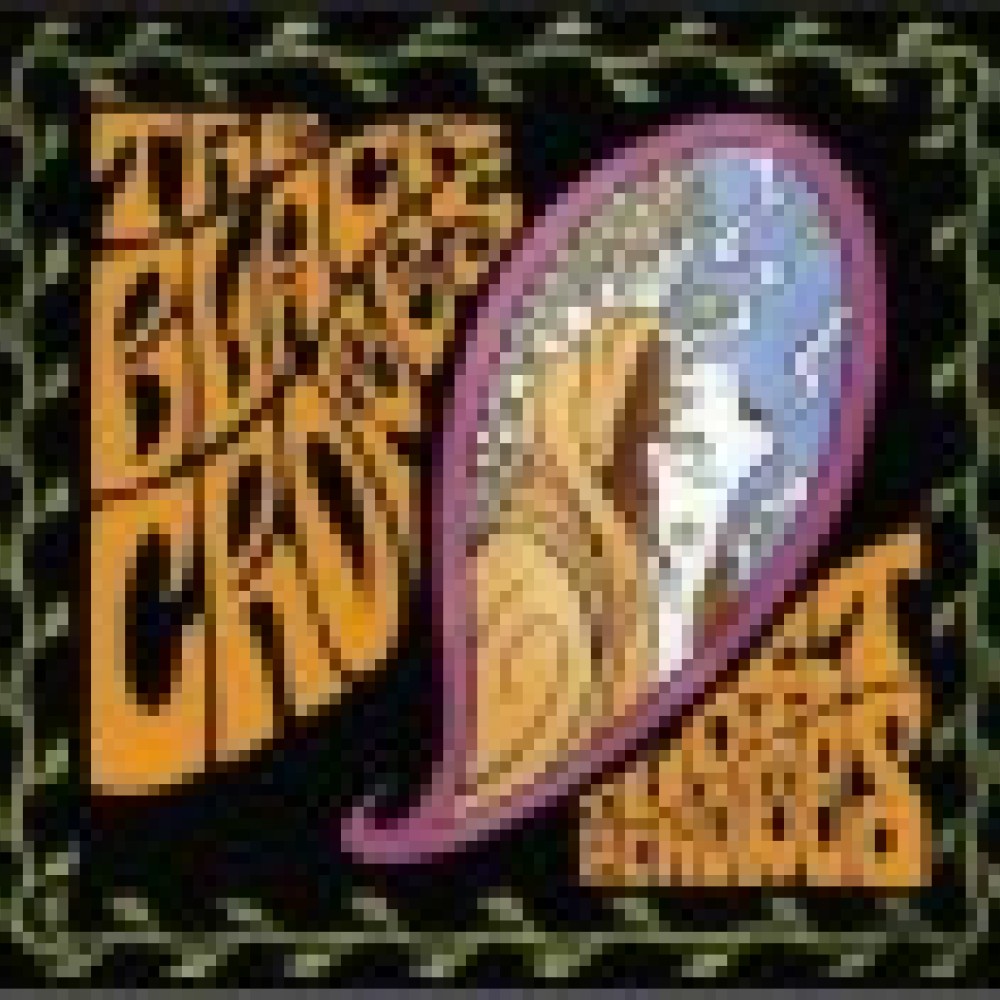 The Black Crowes - The Lost Crowes
