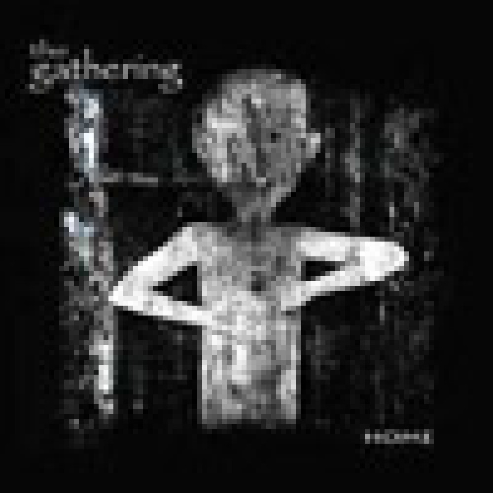 The Gathering - Home The Gathering - Home