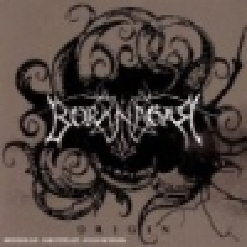 Borknagar - Origin Borknagar - Origin