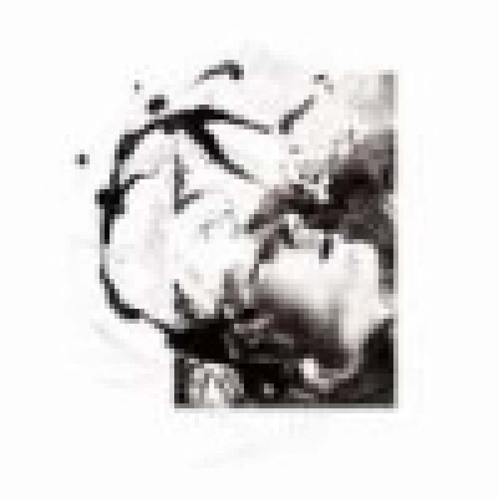 Tenhi - Airut:Aamujen