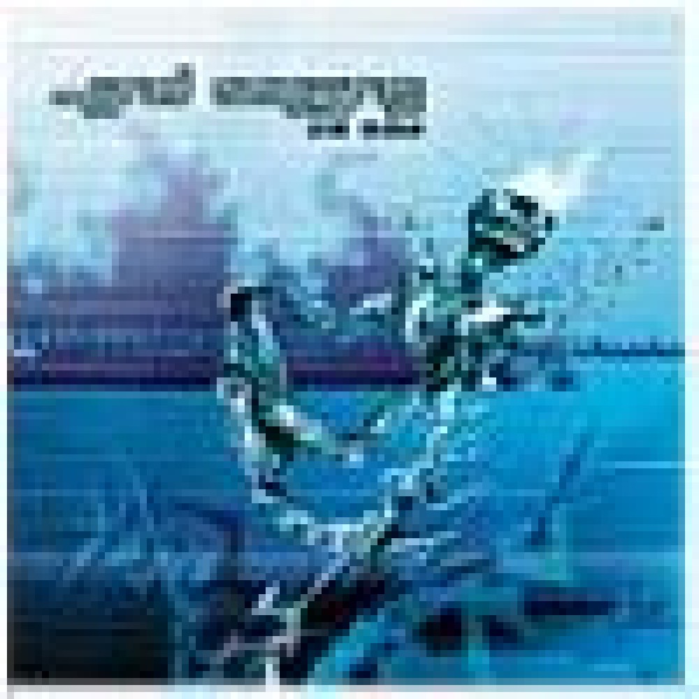 And Oceans - AM GOD