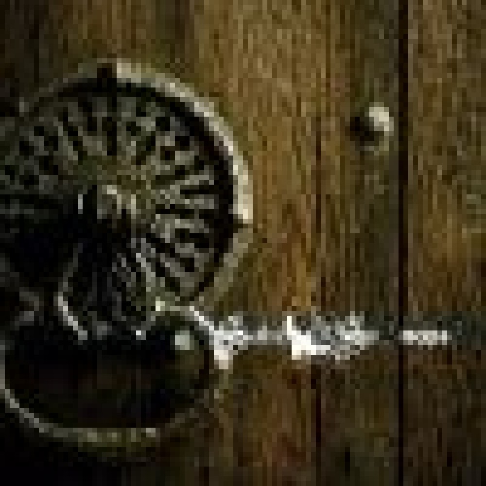 Swallow The Sun - Hope Swallow The Sun - Hope