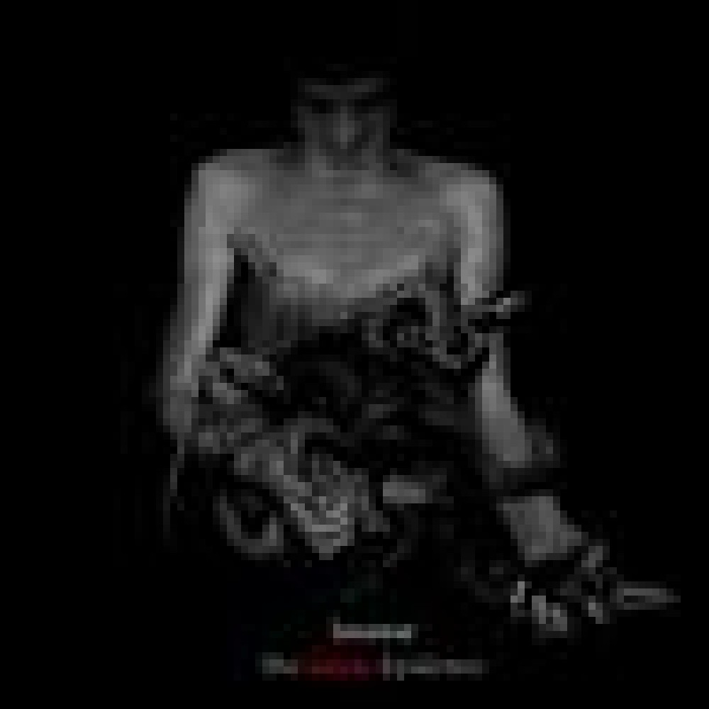 Insense - The Silent Epidemic