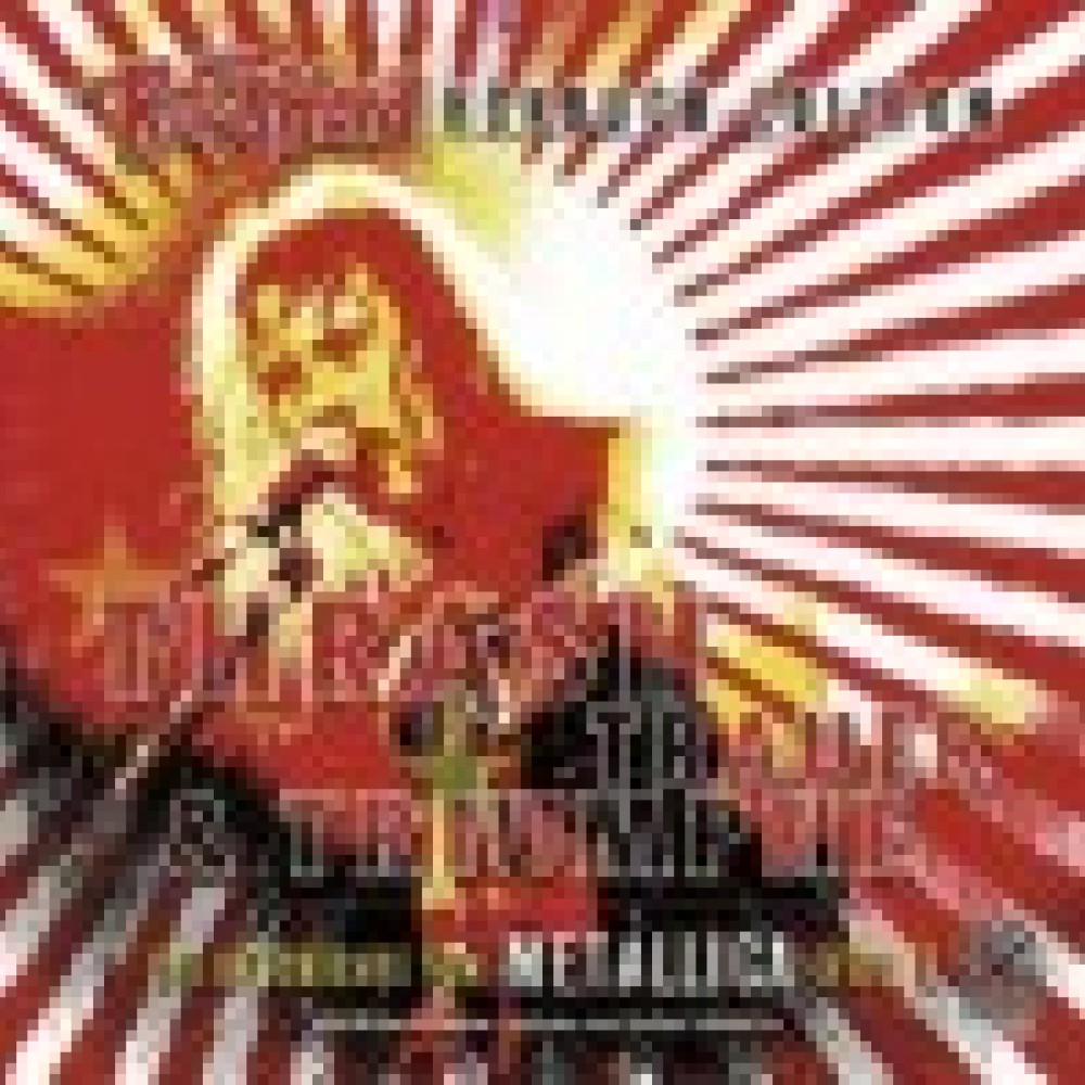 Metallica - Thrash, Trauer & Triumphe - Hörbuch