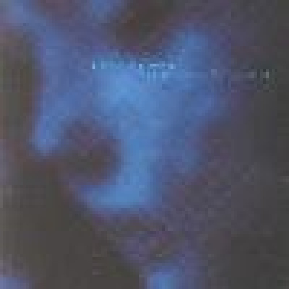 End Of Green - Songs For A Dying World