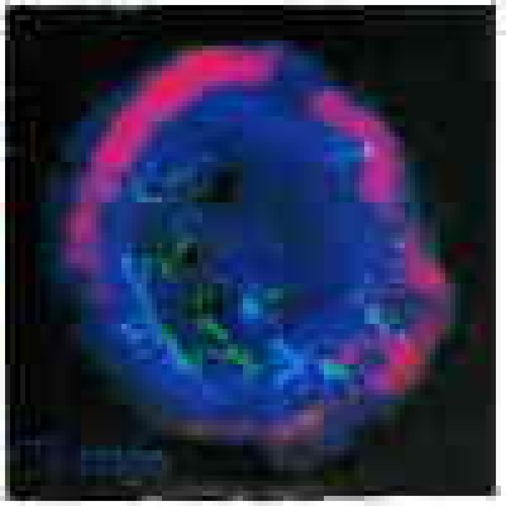 Tharsys - Tharsys Tharsys - Tharsys