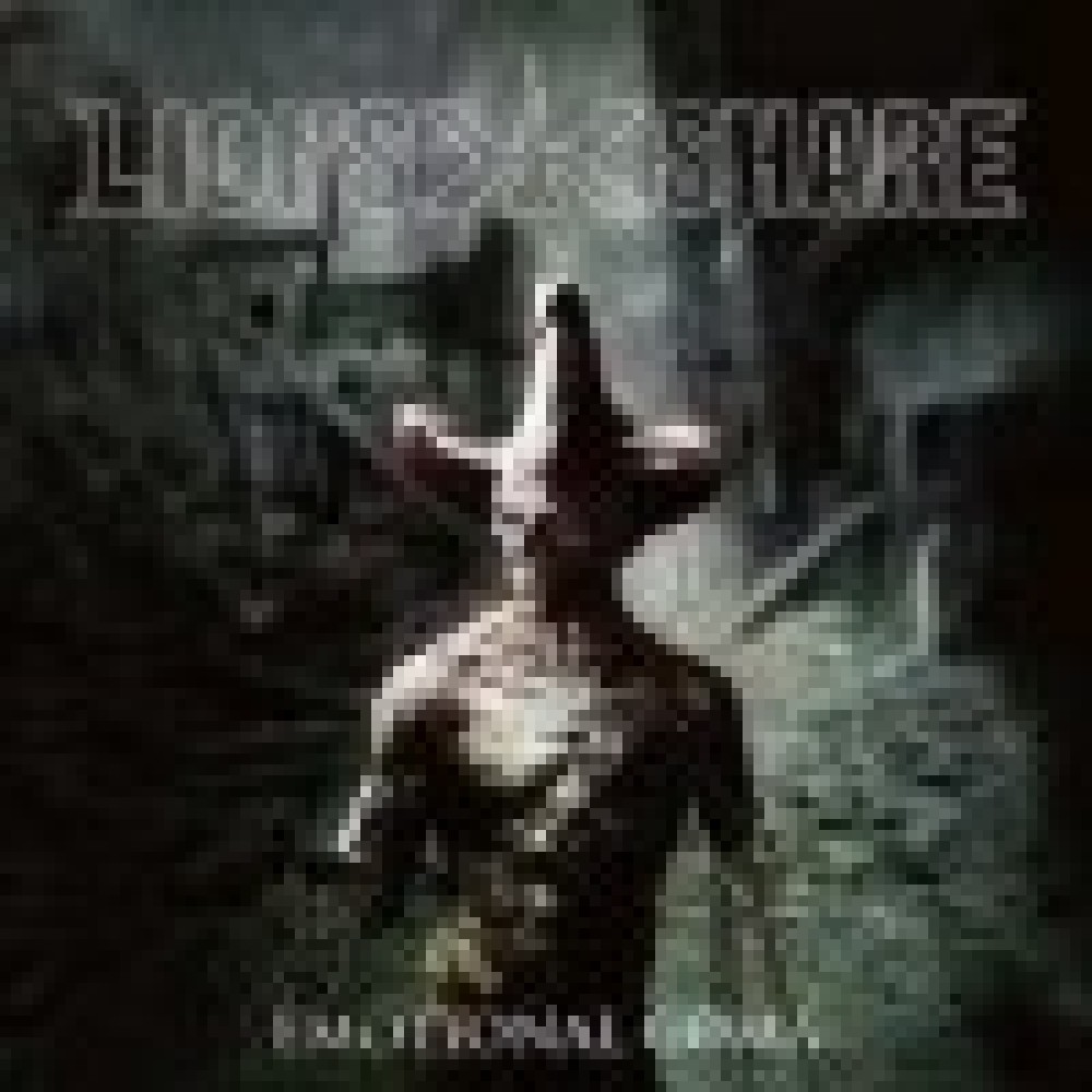 Lions Share - Emotional Coma