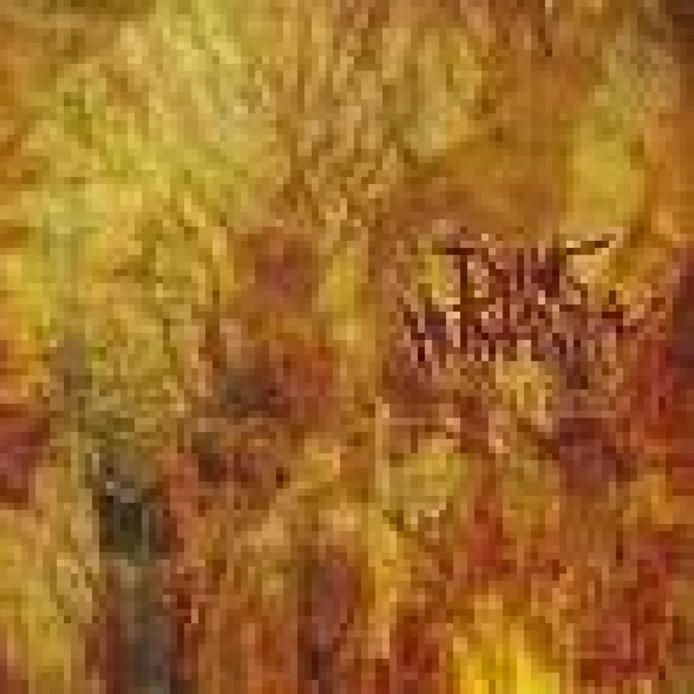 Dying Humanity - Fallen Paradise