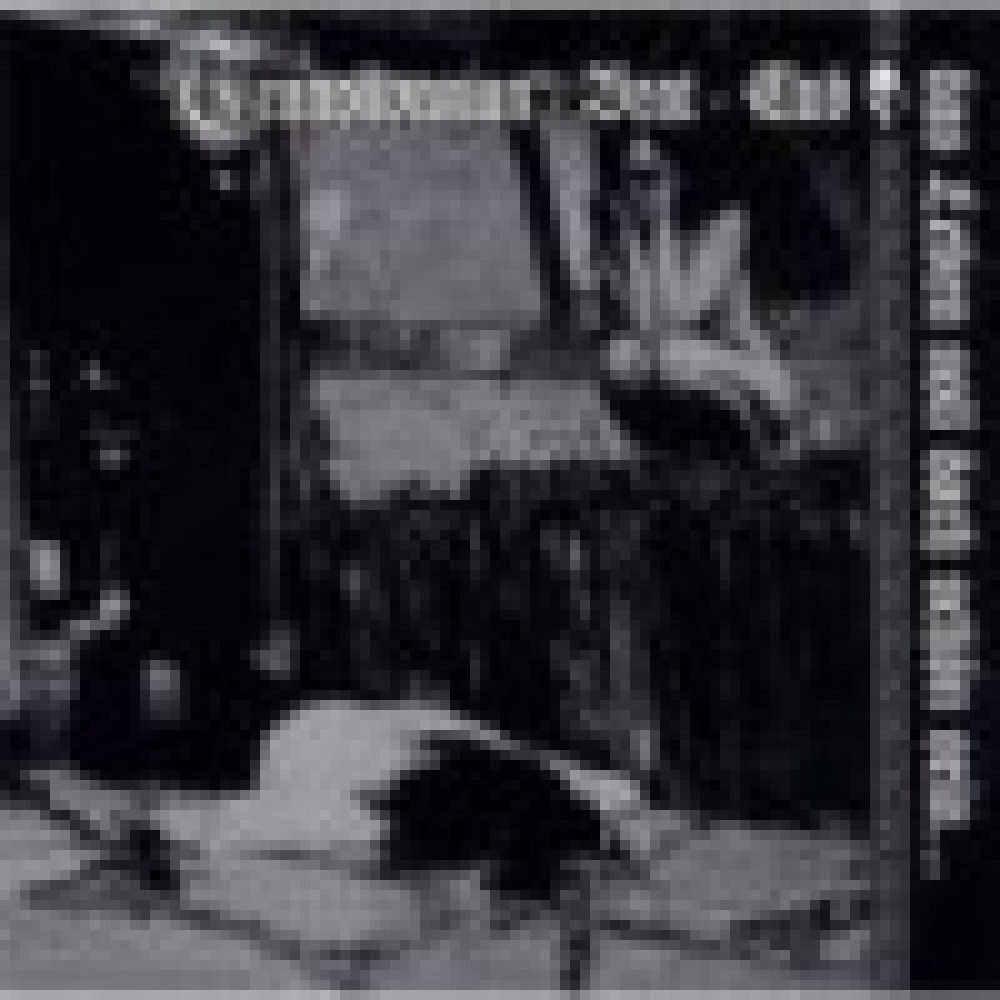 TRANSILVANIAN BEAT CLUB - Das Leben soll doch schön sein