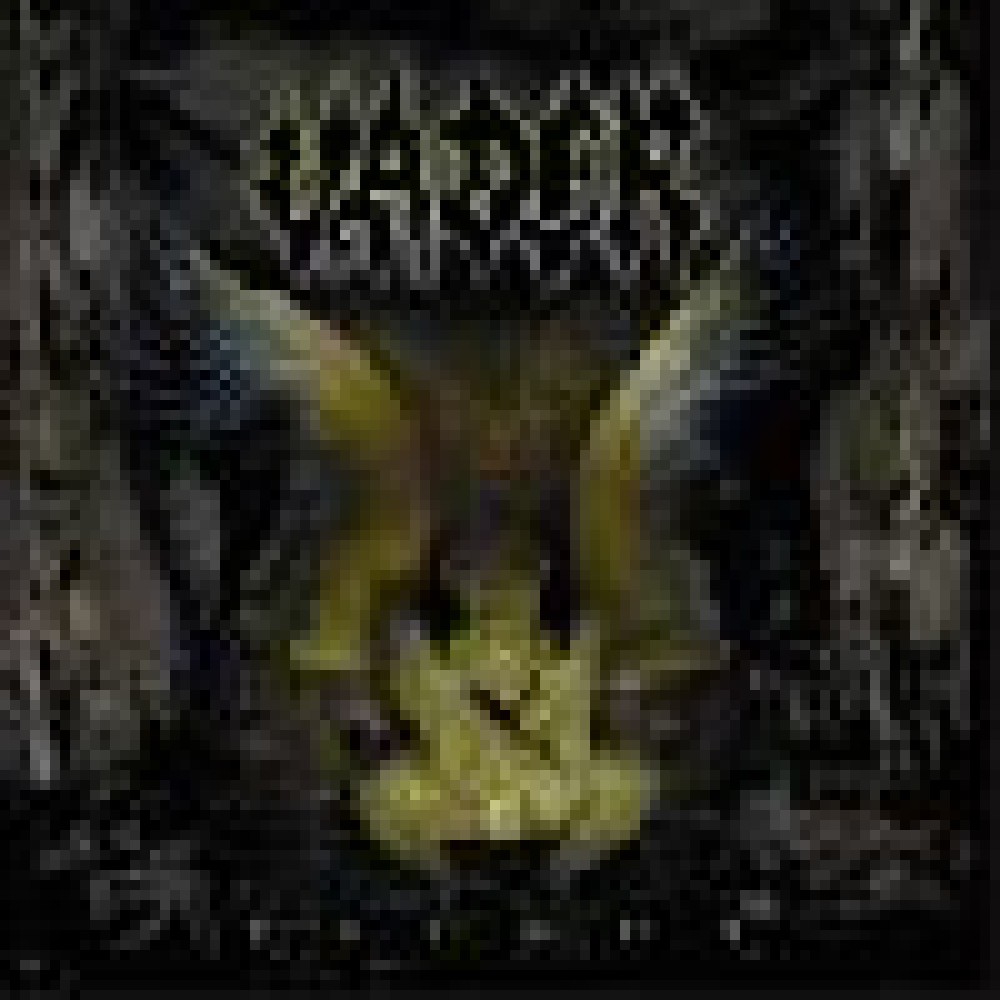 Vader - Litany