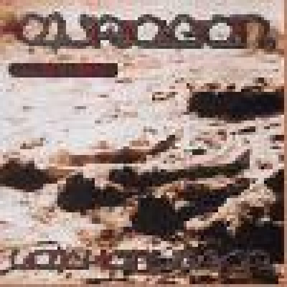 Eisregen - Leichenlager