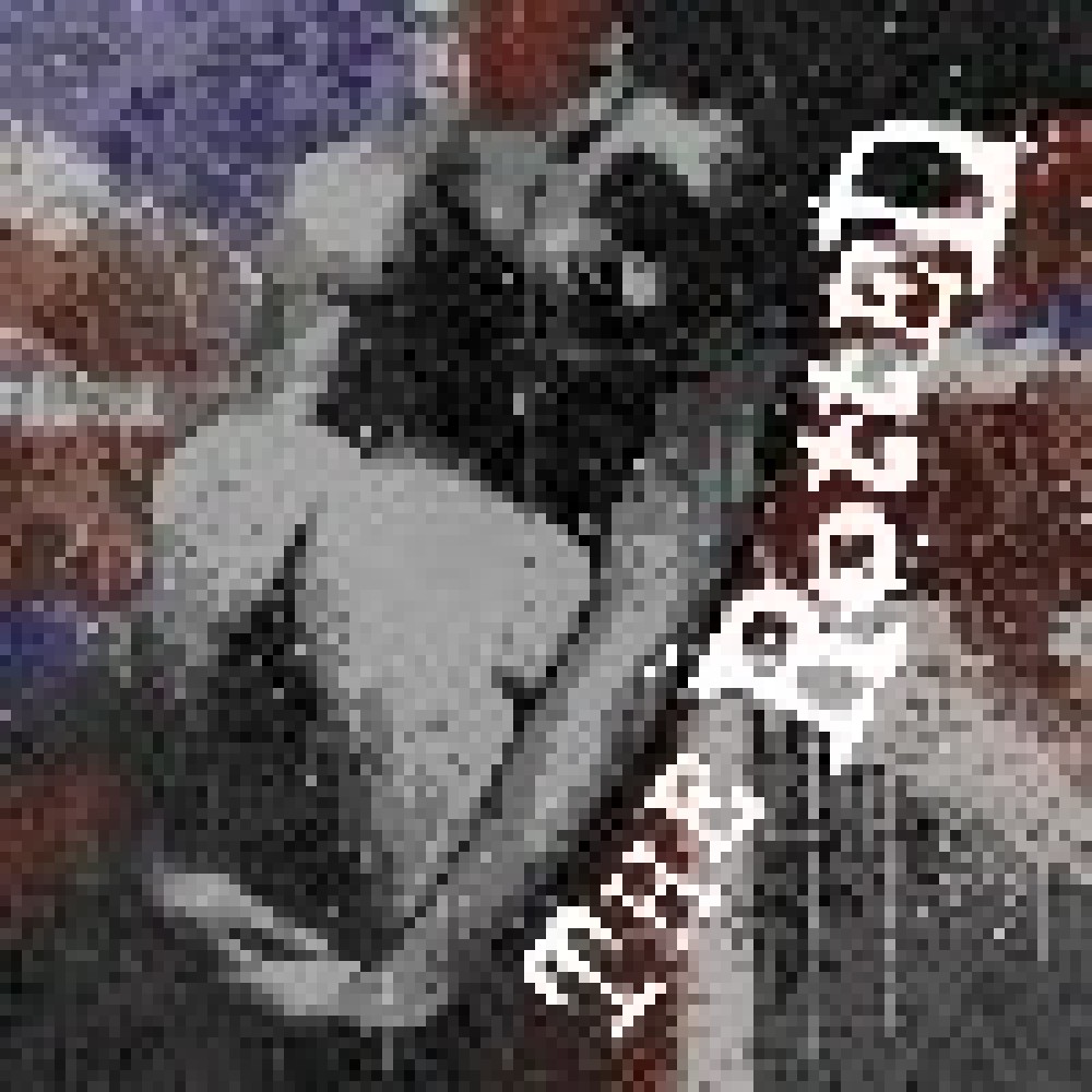 The Rotted - Get Dead Or Die Trying