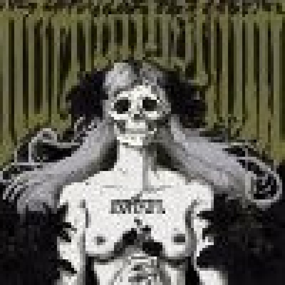 Nachtmystium - Assassins