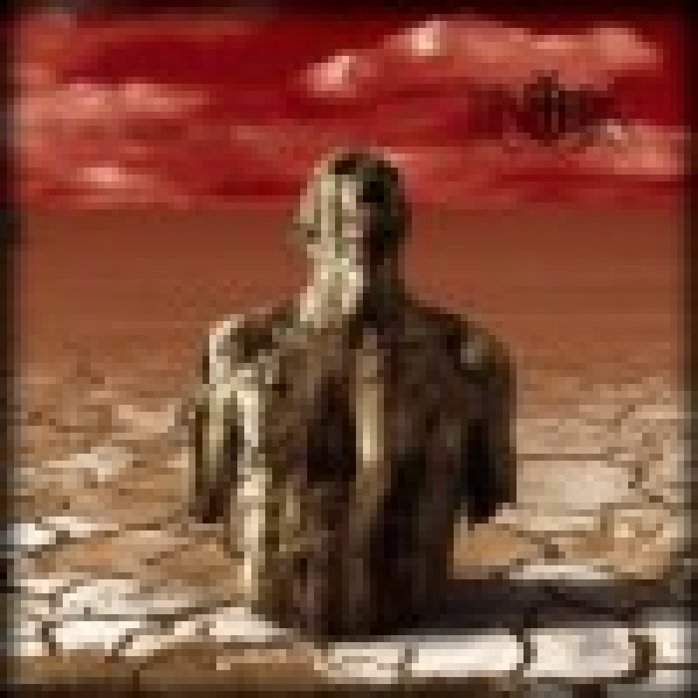 Entera - Daily Terror Entera - Daily Terror