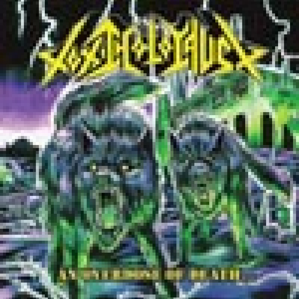 Toxic Holocaust - An Overdose Of Death Toxic Holocaust - An Overdose Of Death