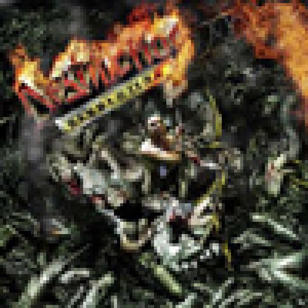 Destruction - D.E.V.O.L.U.T.I.O.N. Destruction - D.E.V.O.L.U.T.I.O.N.