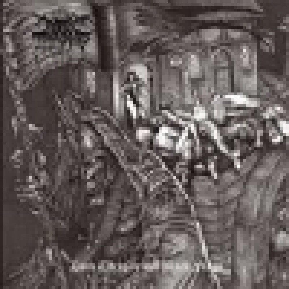 Darkthrone - Dark Thrones And Black Flags