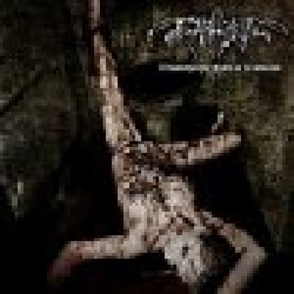 Svarttjern - Misanthropic Path Of Madness