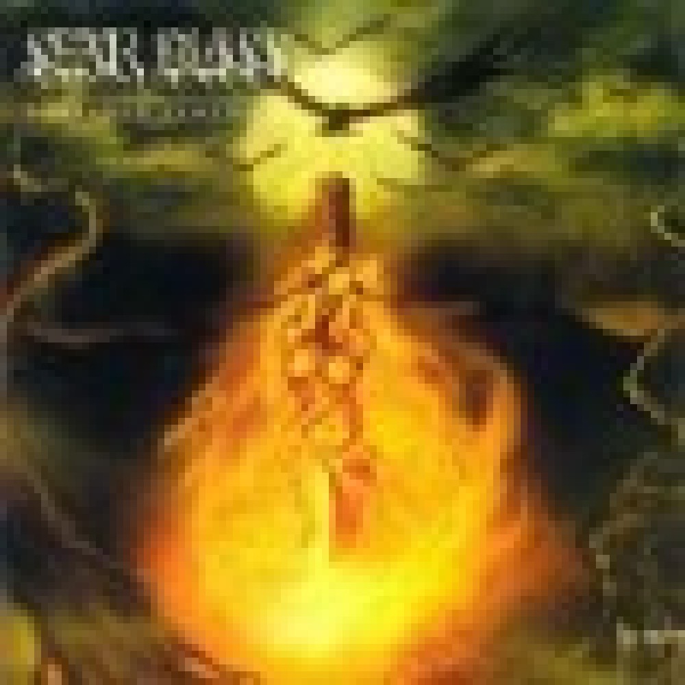 Sear Bliss - Forsaken Symphony Sear Bliss - Forsaken Symphony