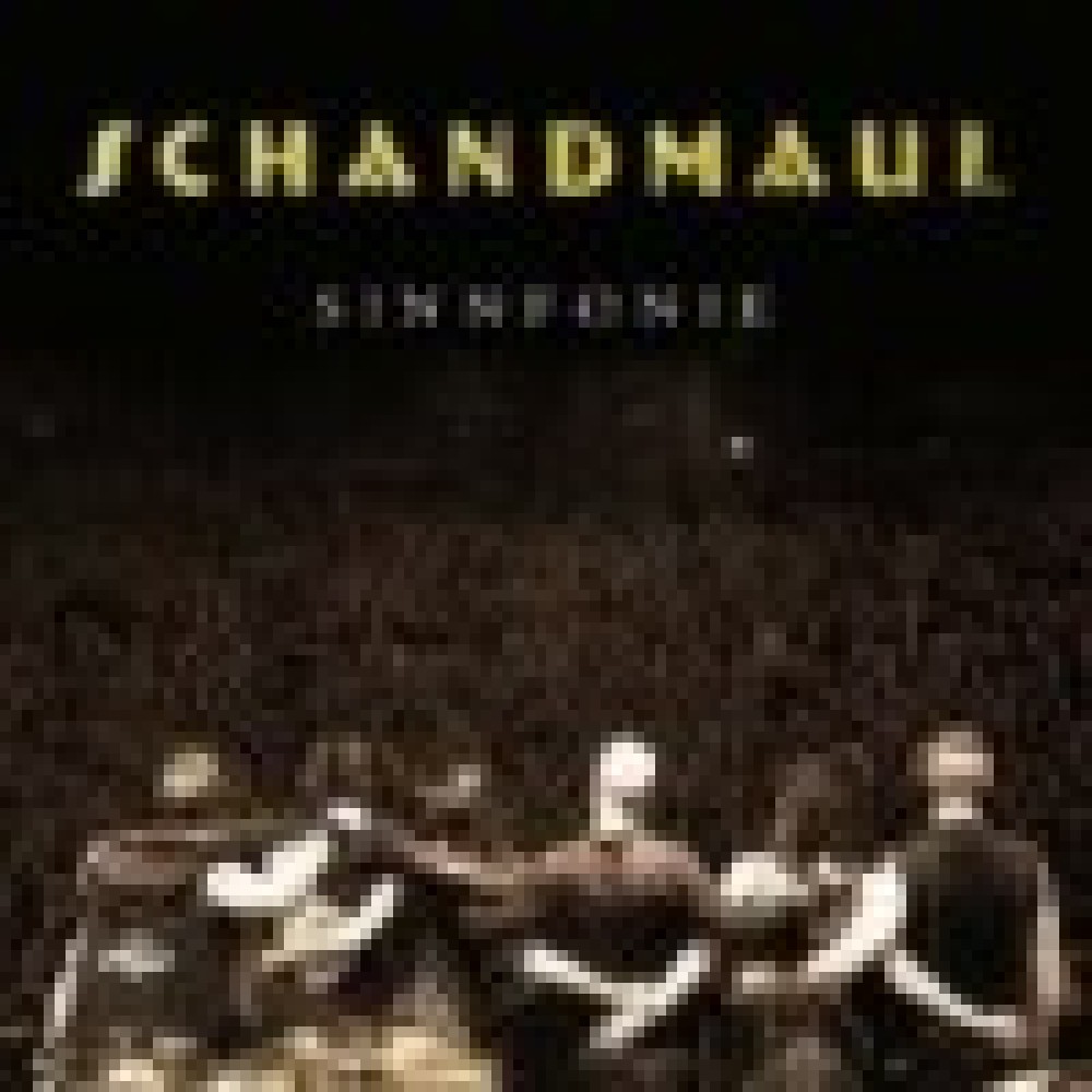 Schandmaul - Sinnfonie