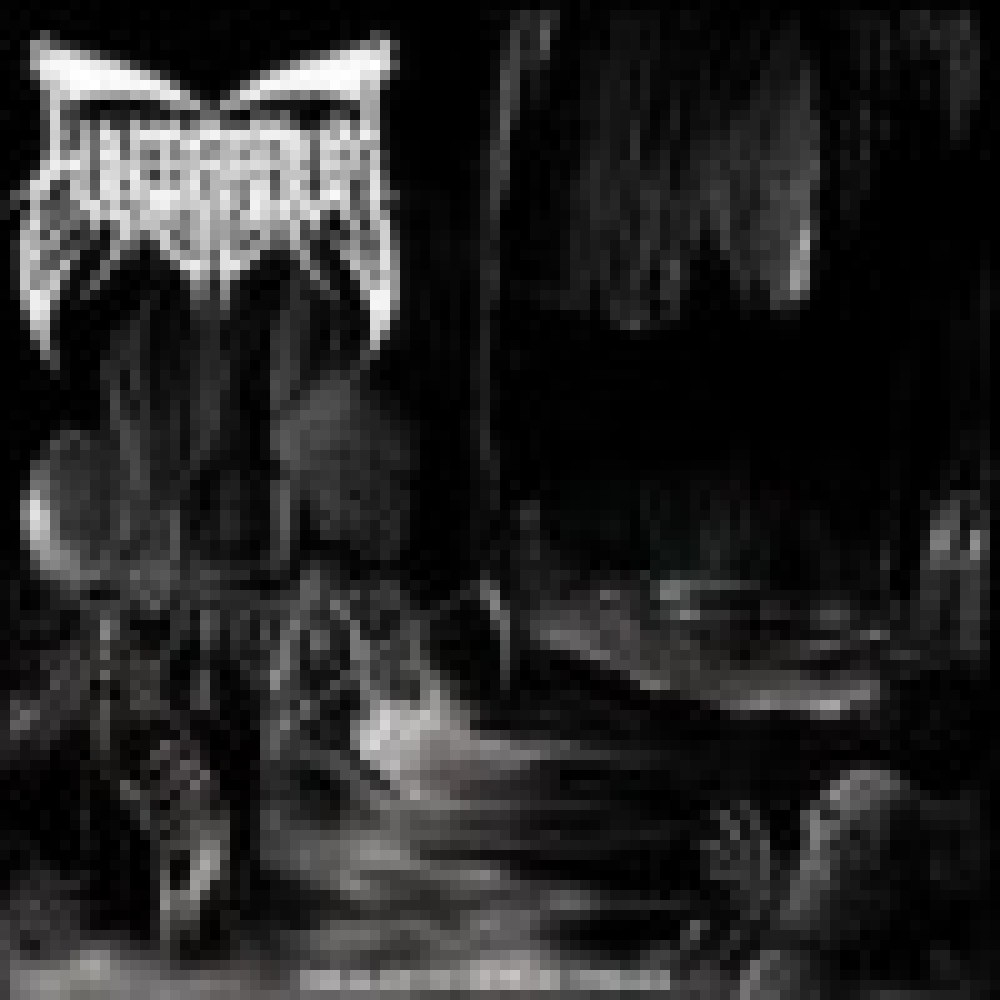 Funebrarum - The Sleep Of Morbid Dreams