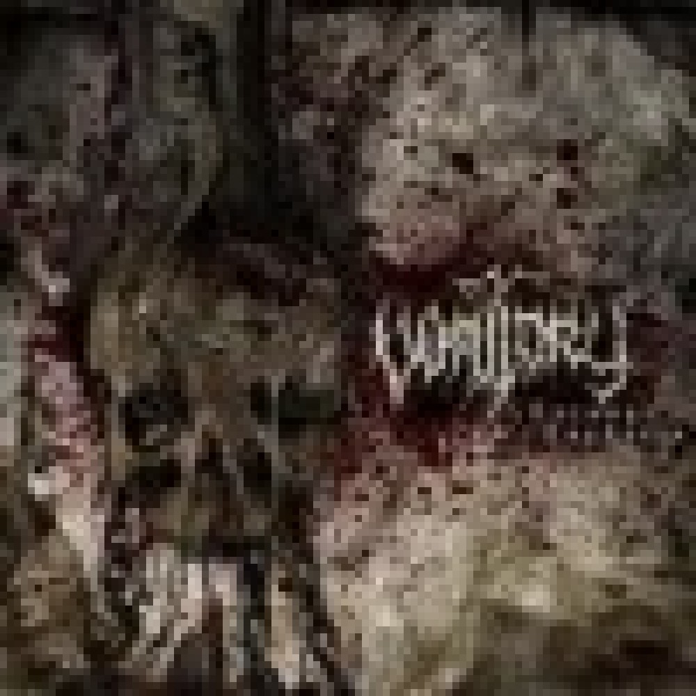 Vomitory - Carnage Euphoria
