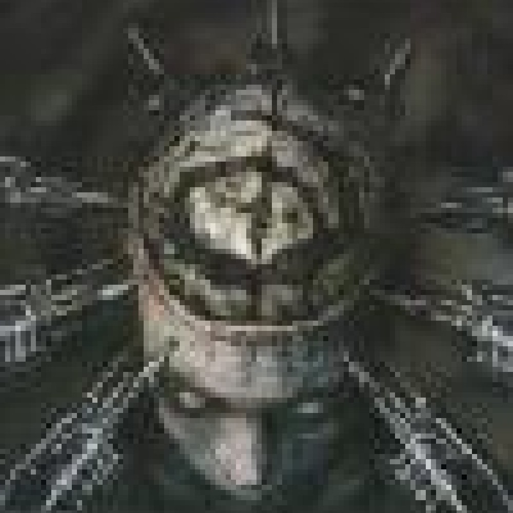 Six Feet Under - Maximum Violence Six Feet Under - Maximum Violence