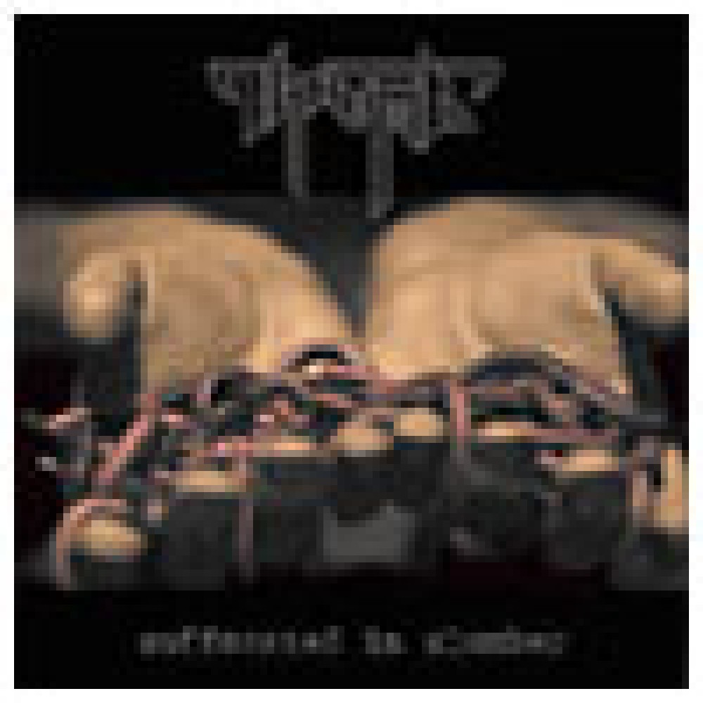 Trauma - Suffocated in Slumber Trauma - Suffocated in Slumber