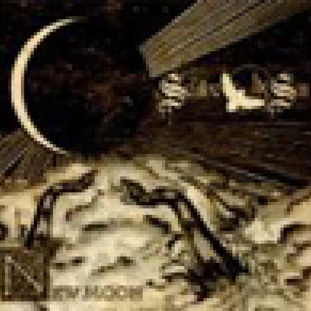 Swallow The Sun - New Moon