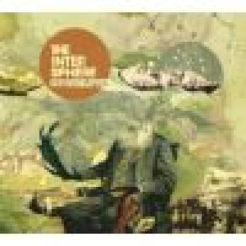 The Intersphere - Interspheres >< Atmospheres